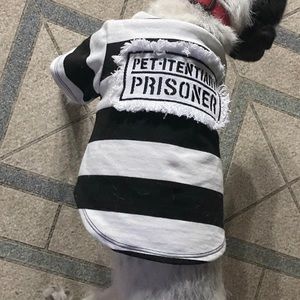 Meet your Posher, Mauricio